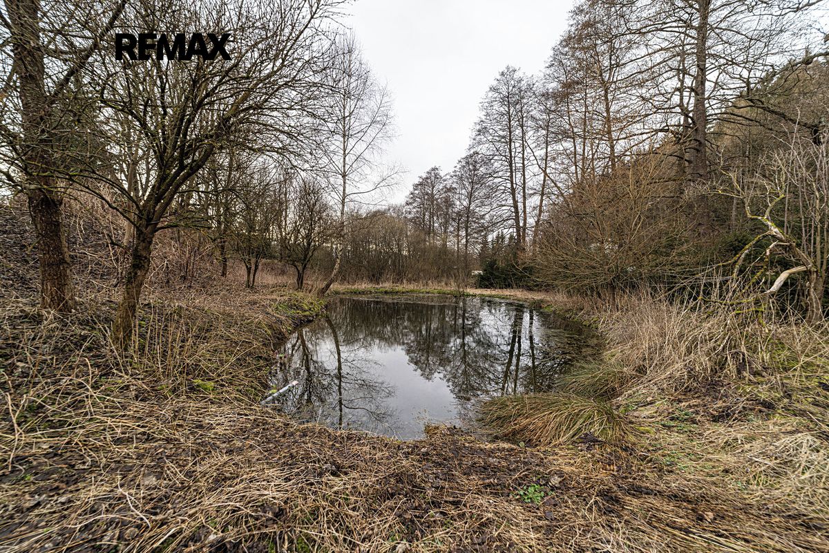 Prodej rodinného domu 440 m², pozemek 3345 m² – fotografie 4