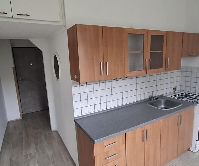 Wohnung 1+1 zur Miete, 36 m² (18 von 22)
