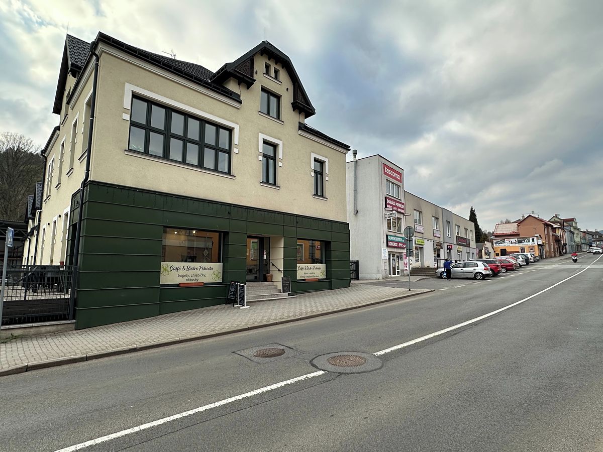 Prodej obchodního prostoru 220 m² – fotografie 2