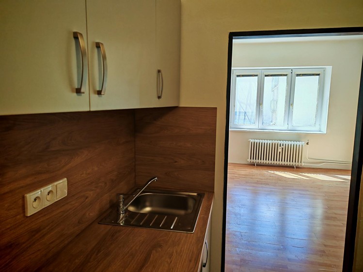 Pronájem bytu 1+kk, 32 m² (10 z 11)