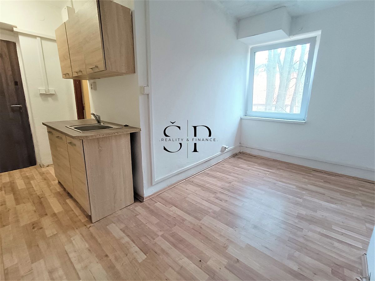 Pronájem bytu 1+kk 40 m² – fotografie 4
