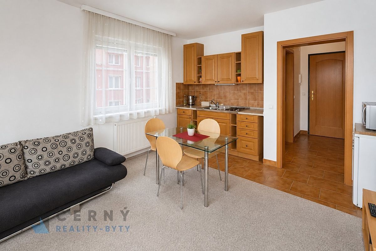 Pronájem bytu 1+kk 28 m² – fotografie 3