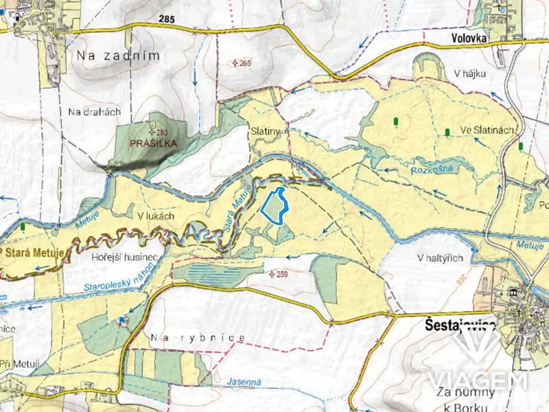 Prodej pole 16094 m², Šestajovice – náhled fotky 3