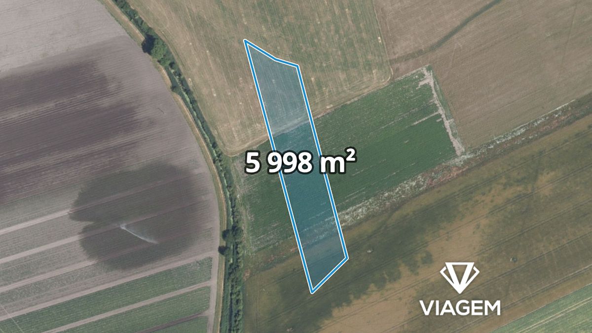 Prodej pole 5998 m², Mochov – fotka 1 z 3