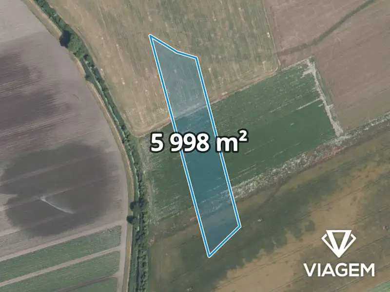 Prodej pole 5998 m², Mochov – náhled fotky 1