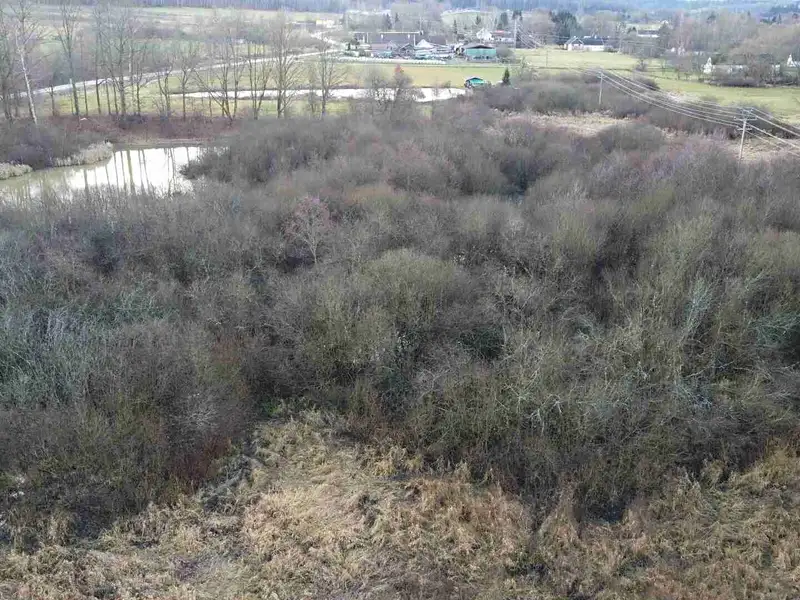 Prodej pozemku 35772 m², Nové Hrady – náhled fotky 3