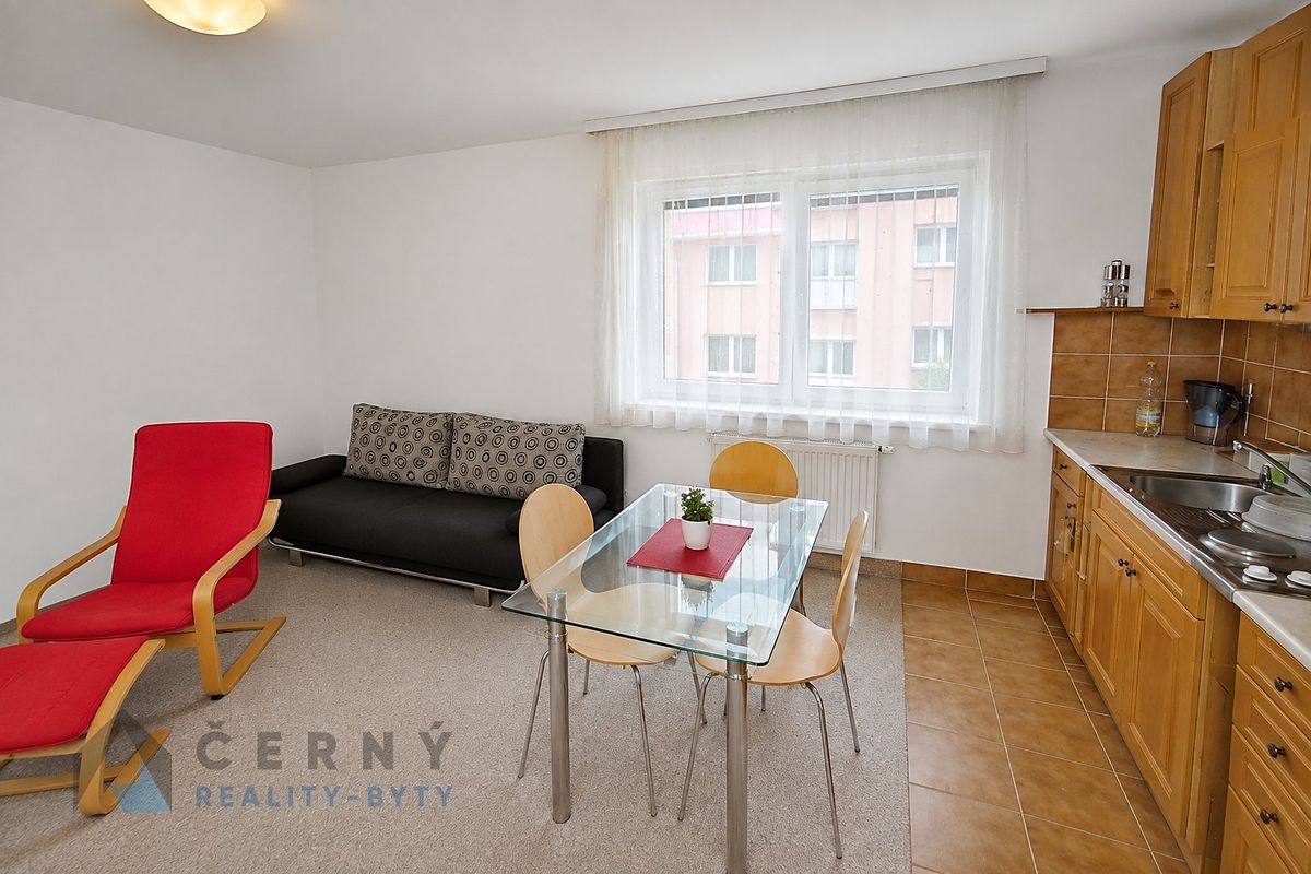 Pronájem bytu 1+kk 28 m² – fotografie 4