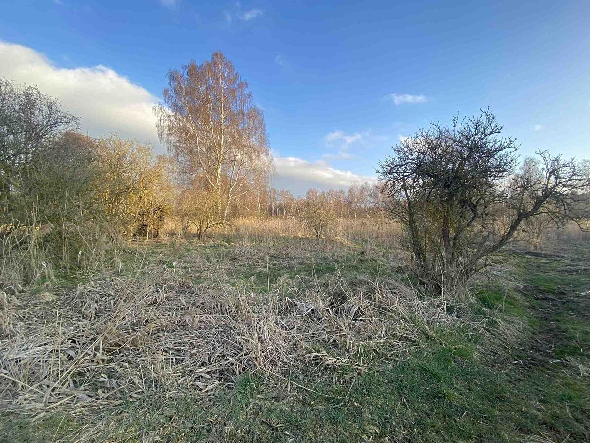 Prodej pole 2866 m² – fotografie 2