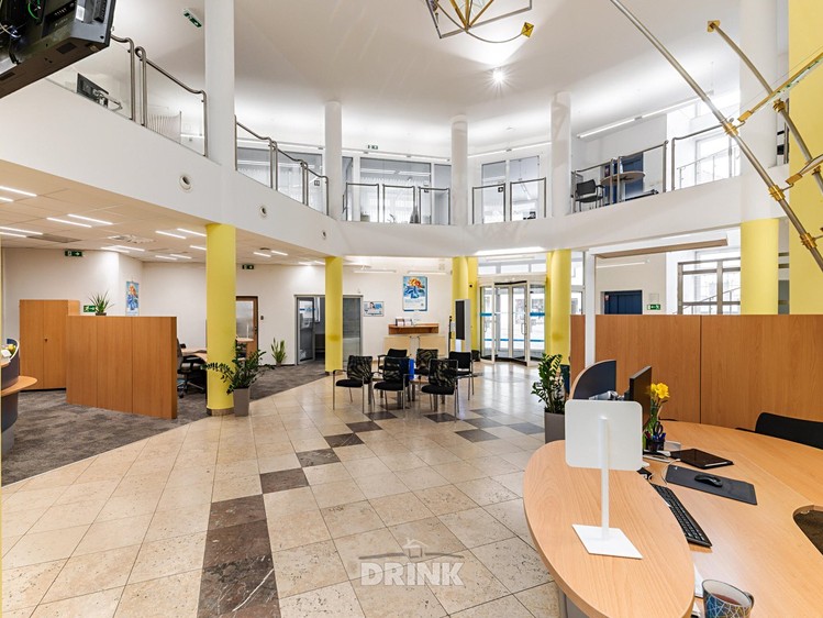 Pronájem komerčního prostoru, 317 m² (8 z 14)