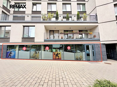 Pronájem komerčního prostoru, 173 m² (3 z 22)