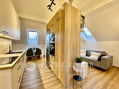 Pronájem bytu 3+1 42 m²