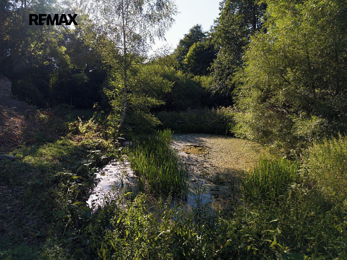 Prodej rodinného domu 440 m², pozemek 3345 m² – fotografie 3
