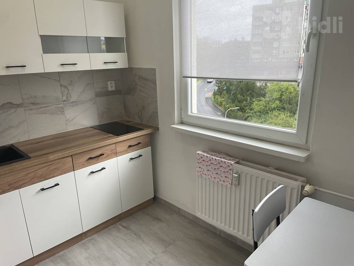 Pronájem bytu 1+1 39 m²