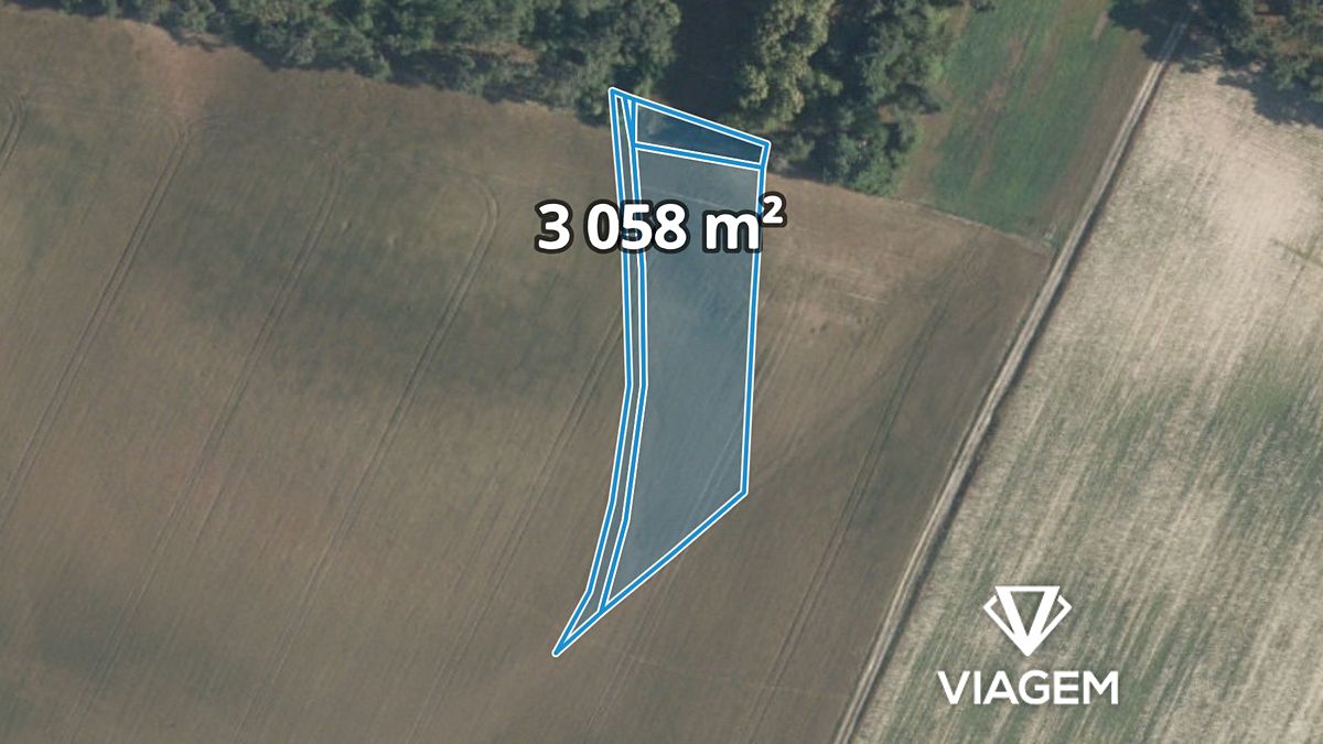 Prodej pole 3058 m², Sudovo Hlavno – fotka 1 z 3