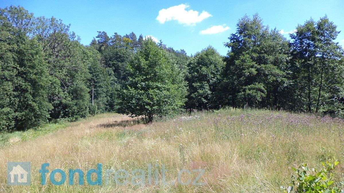 Prodej pole 19744 m²
