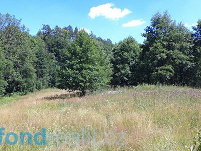 Prodej pole 19744 m²
