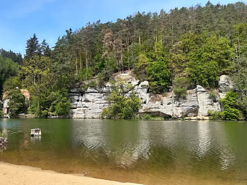 Prodej lesa 12485 m², Vysoká – náhled fotky 2