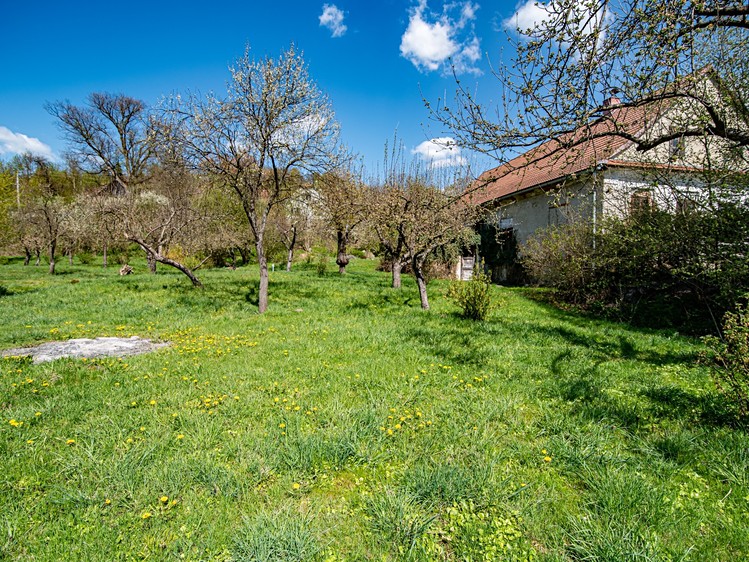 Grundstück zum Kauf, 1.388 m² (4 von 7)