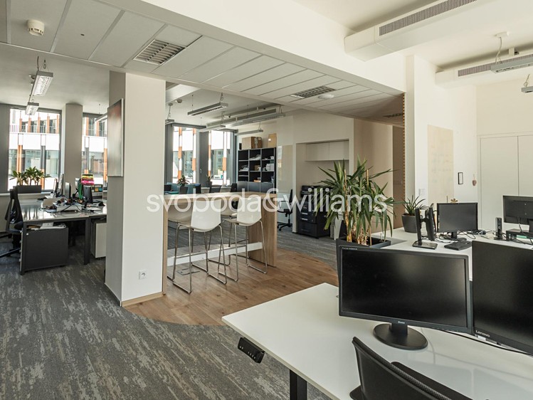 Gewerbefläche zur Miete, 536 m² (2 von 9)
