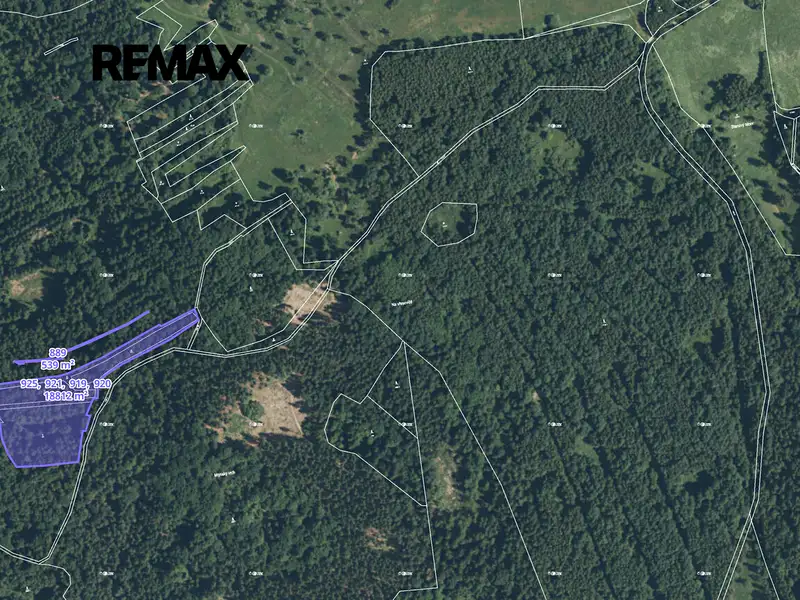 Prodej lesa 8533 m², Staré Sedliště – náhled fotky 2