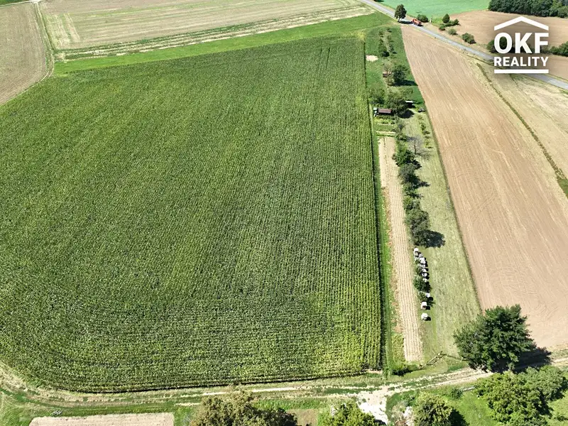 Prodej zahrady 3526 m², Lutopecny – náhled fotky 3