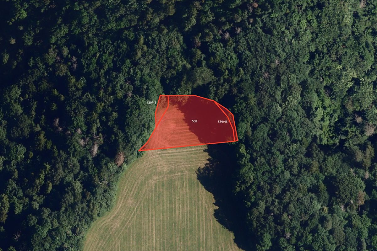 Prodej pole 12959 m² – fotografie 3