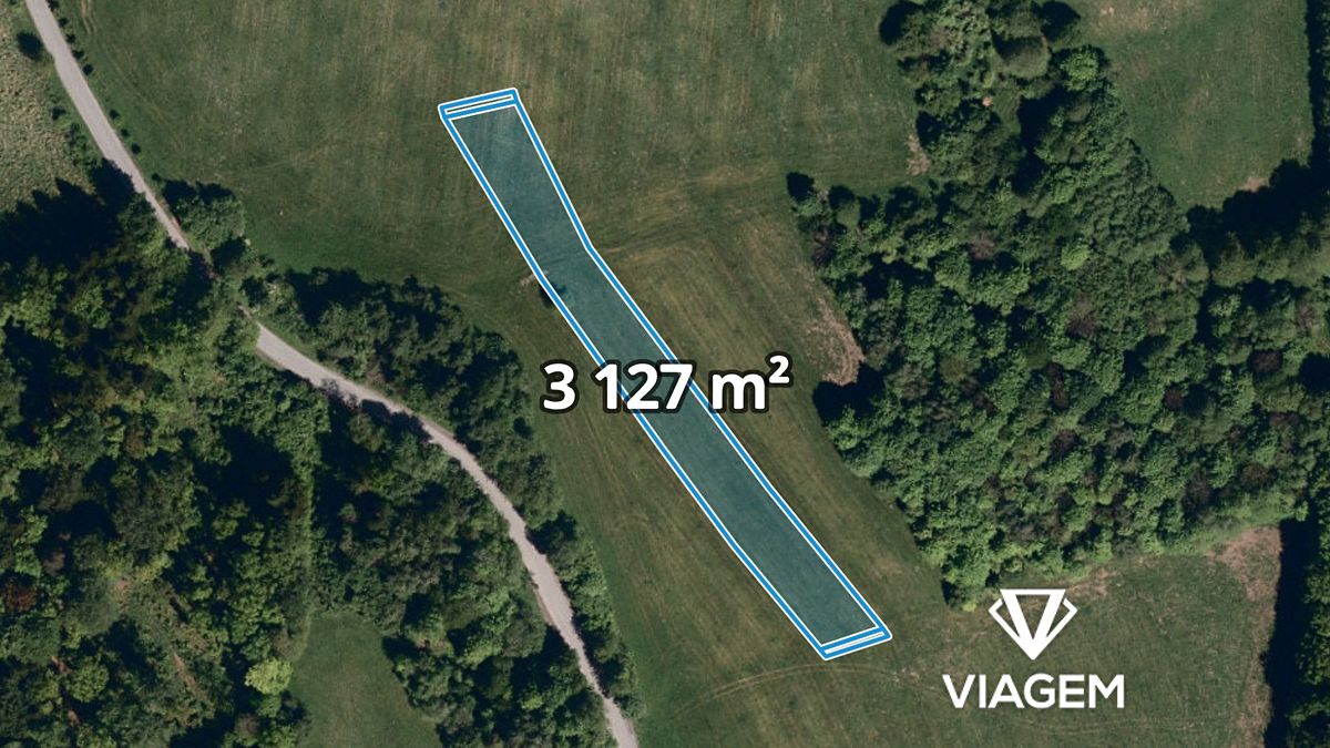 Prodej pole 3127 m²