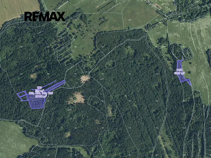 Prodej lesa 8533 m², Staré Sedliště – náhled fotky 3