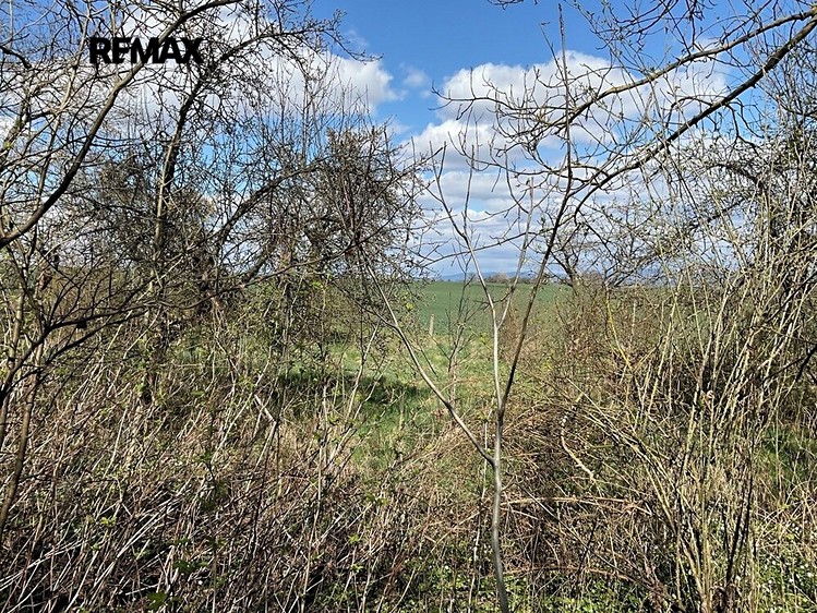 Grundstück zum Kauf, 3.131 m² (4 von 8)
