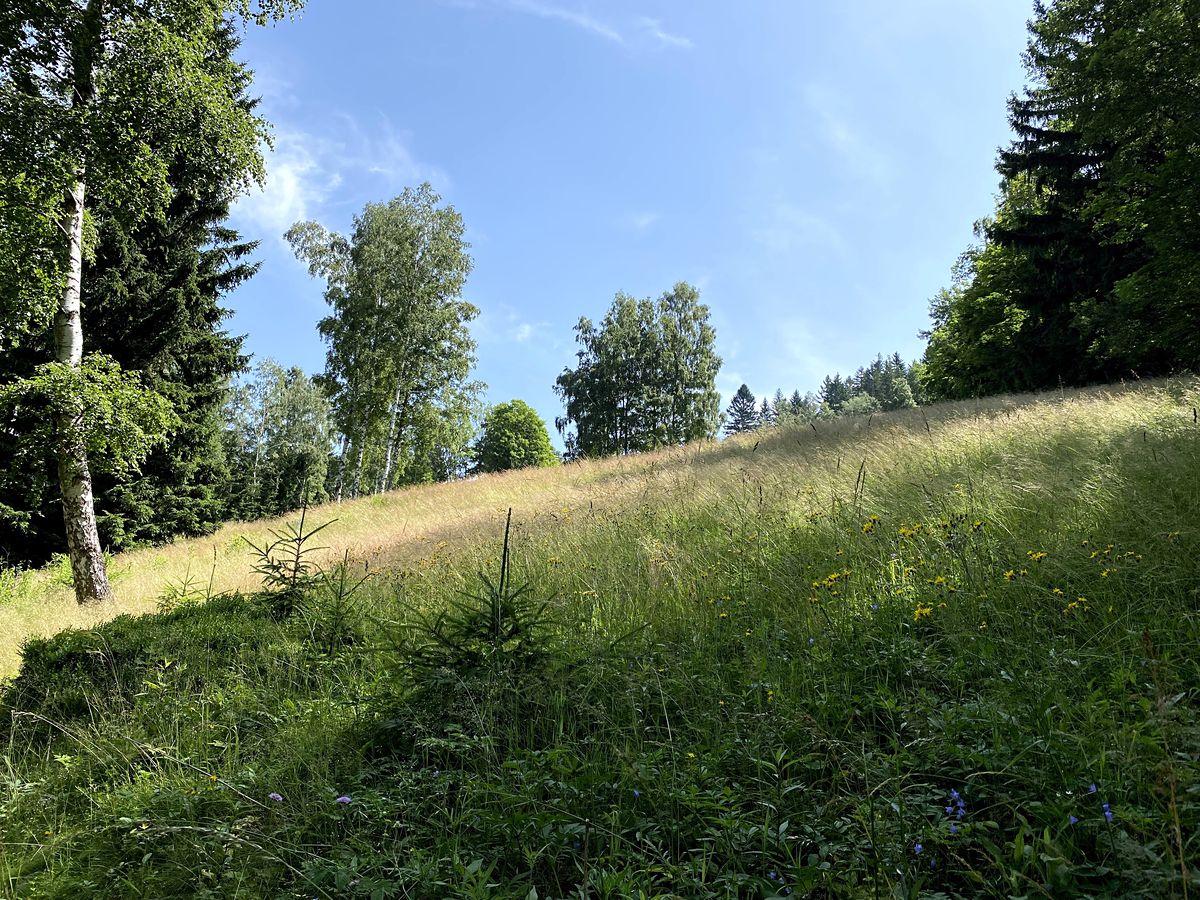 Prodej louky 15826 m² – fotografie 2
