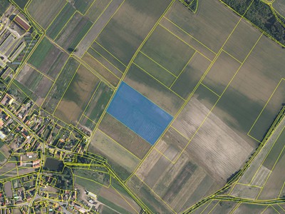 Prodej podílu 1/4  pole 9 057 m²