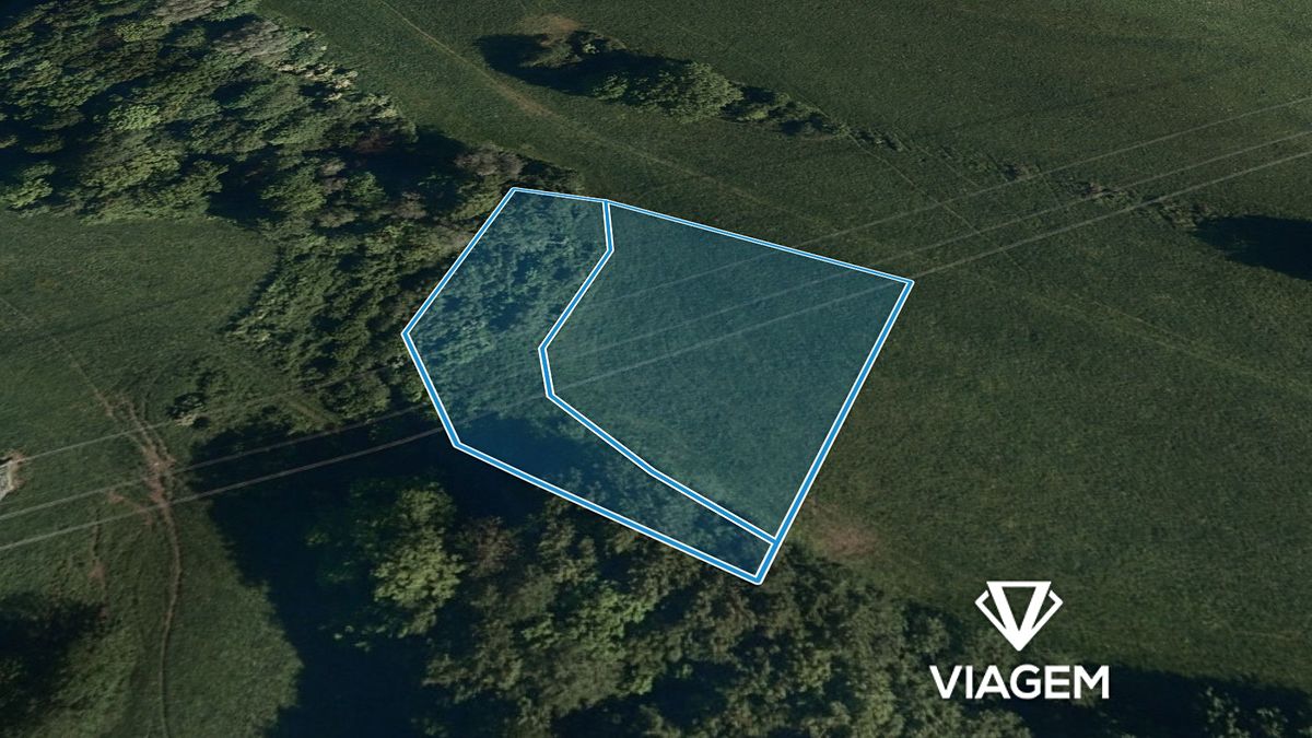 Prodej pole 3153 m² – fotografie 2