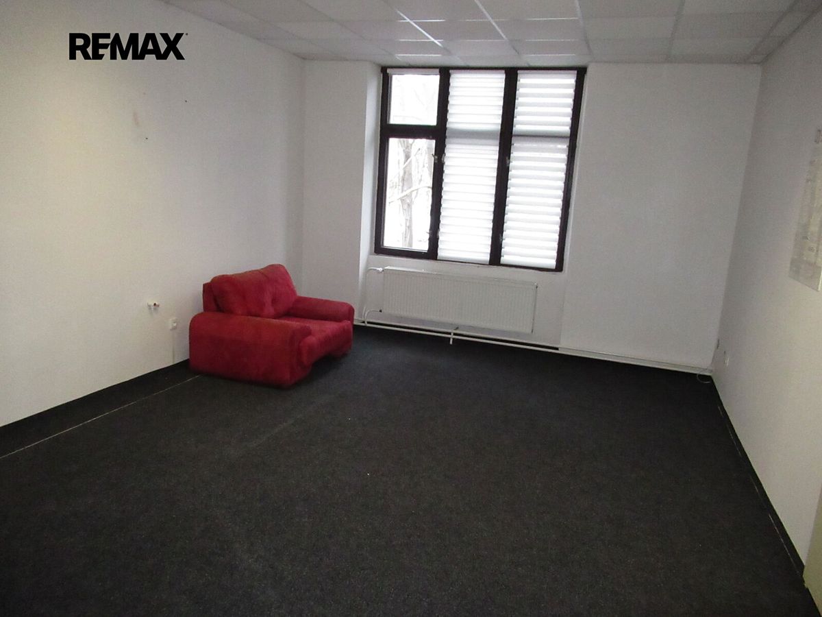 Prodej obchodního prostoru 687 m² – fotografie 3