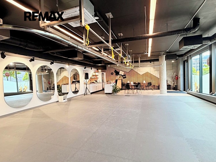 Pronájem komerčního prostoru, 173 m² (6 z 22)