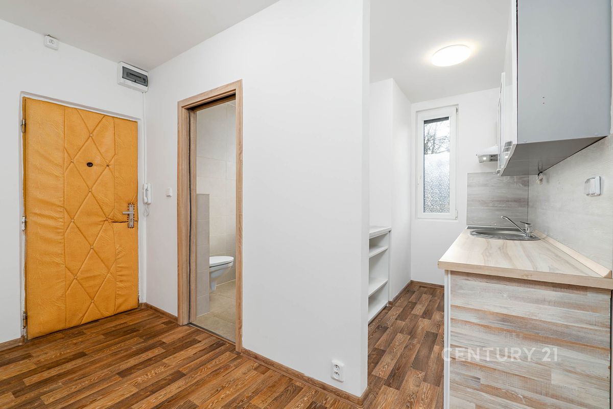 Pronájem bytu 1+1 35 m² – fotografie 3