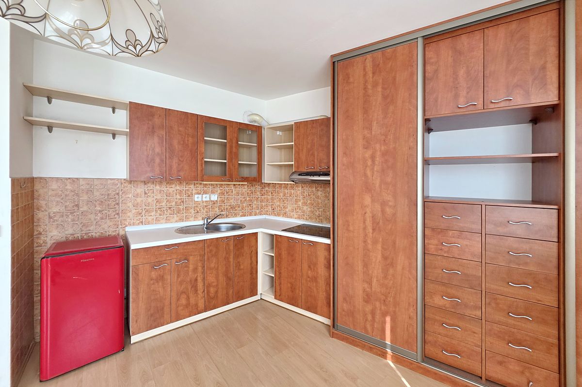 Prodej bytu 1+1 45 m² – fotografie 2