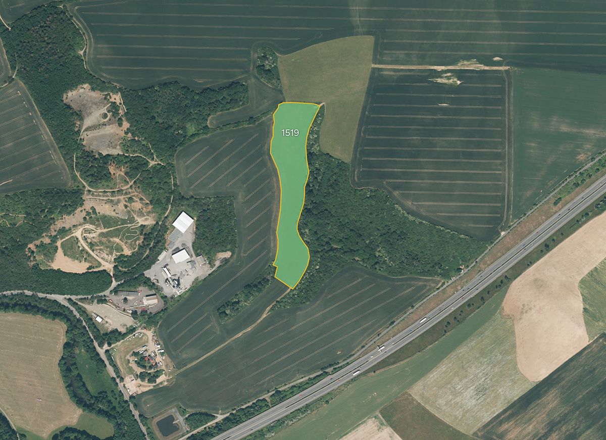 Prodej louky 25956 m², Starý Plzenec – fotka 1 z 3