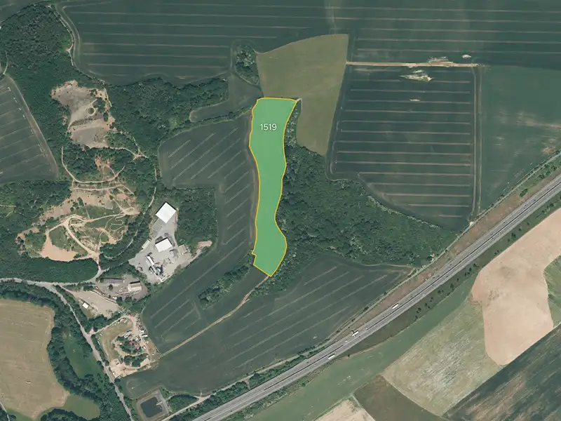 Prodej louky 25956 m², Starý Plzenec – náhled fotky 1
