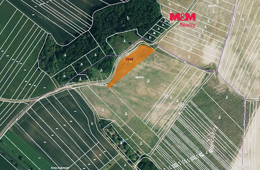 Prodej podílu 1/3 sadu, vinice 1000 m²