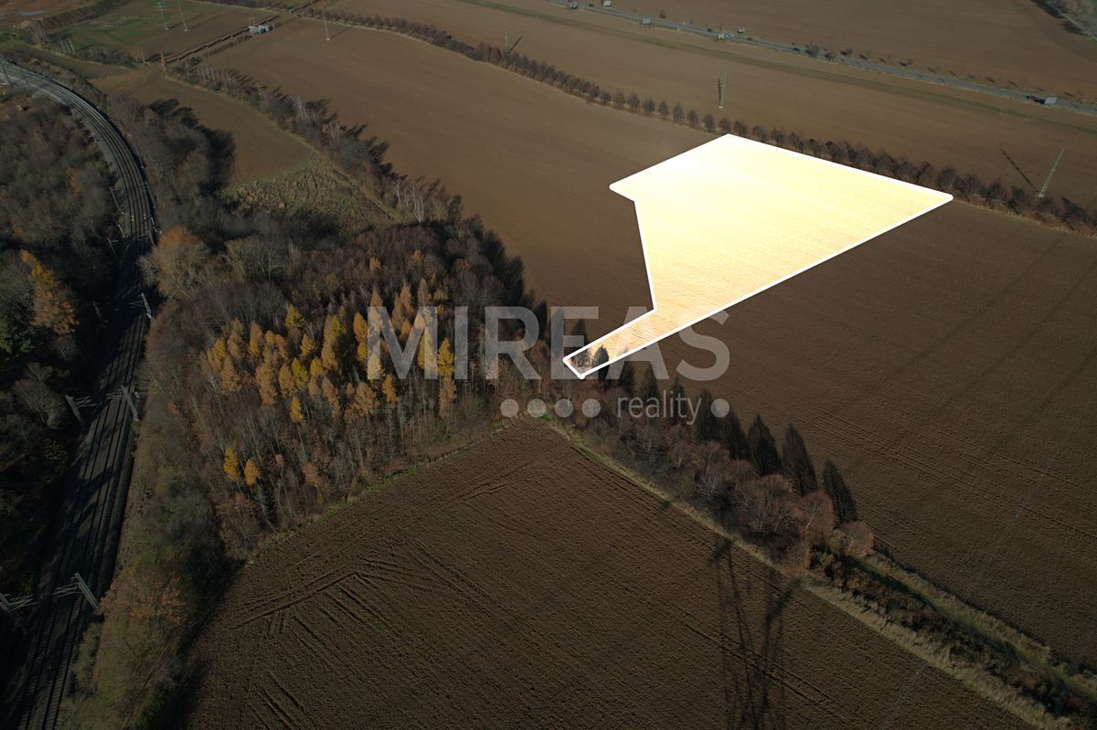 Prodej pole 7476 m² – fotografie 2