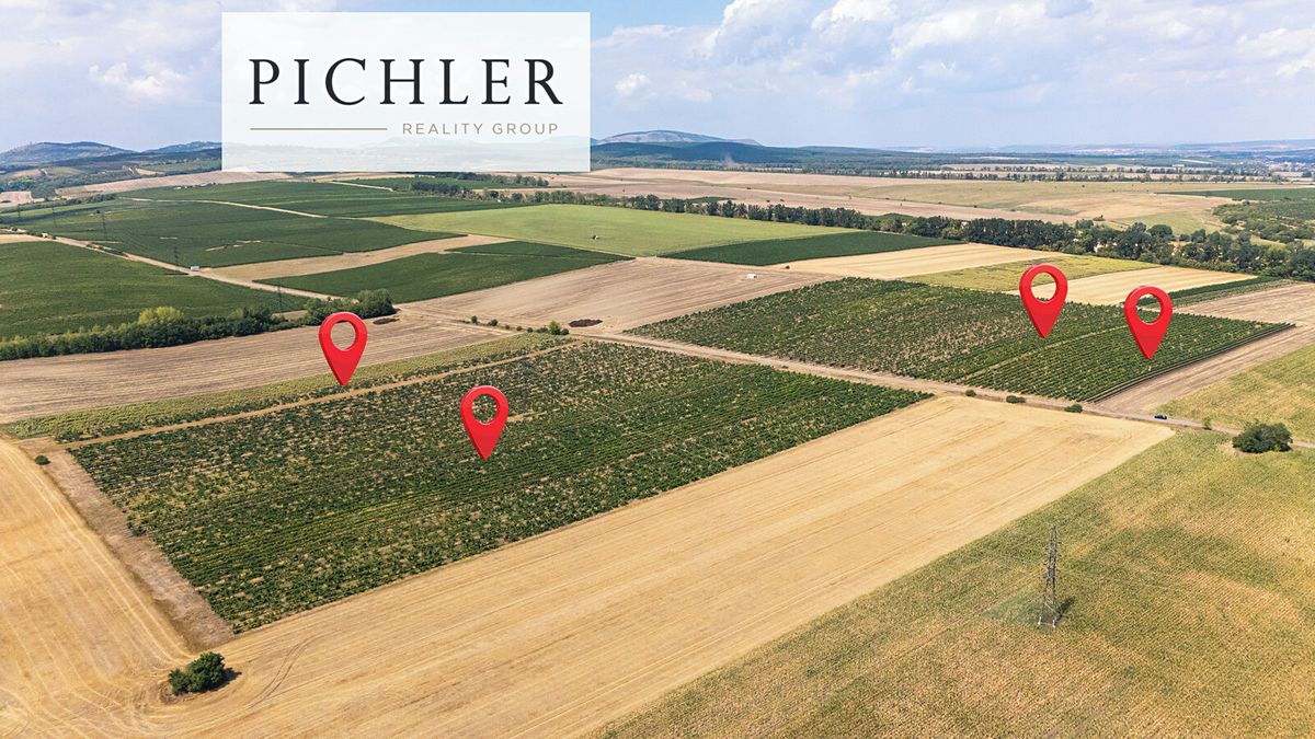 Prodej sadu, vinice 24332 m²