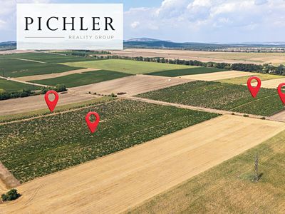 Prodej sadu, vinice 24332 m²