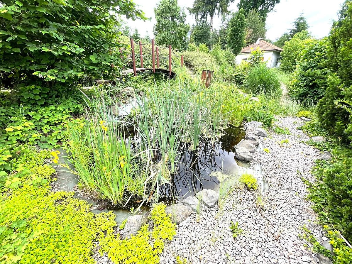 Prodej ubytovacího zařízení 450 m² – fotografie 5