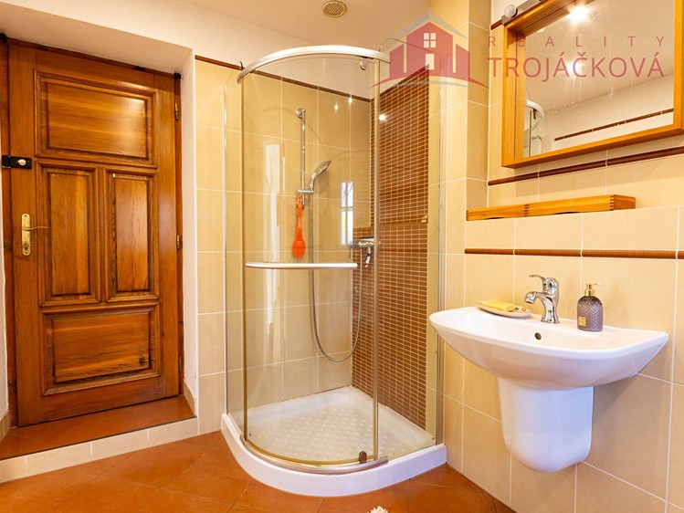 Prodej domu, 260 m² (8 z 31)