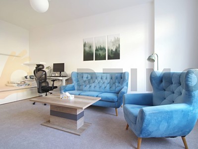 Pronájem bytu 1+1 43 m²