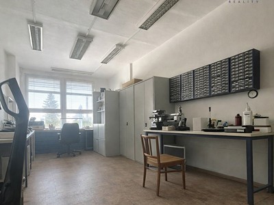 Pronájem komerčního prostoru, 225 m² (2 z 9)
