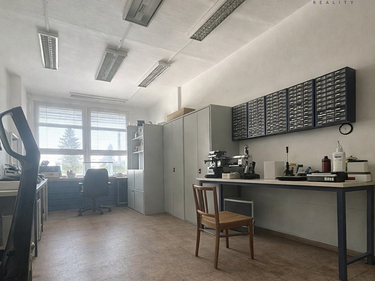 Pronájem komerčního prostoru, 225 m² (2 z 9)