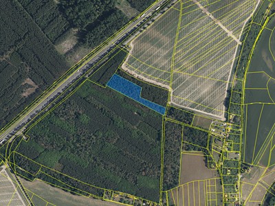 Prodej podílu 1/4  lesa 2 180 m²
