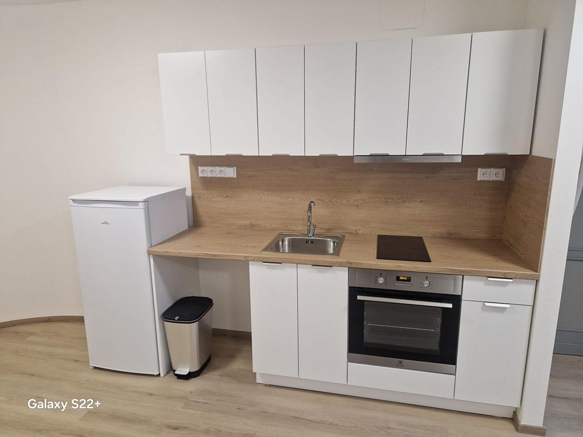 Pronájem rodinného domu 45 m², pozemek 80 m² – fotografie 2