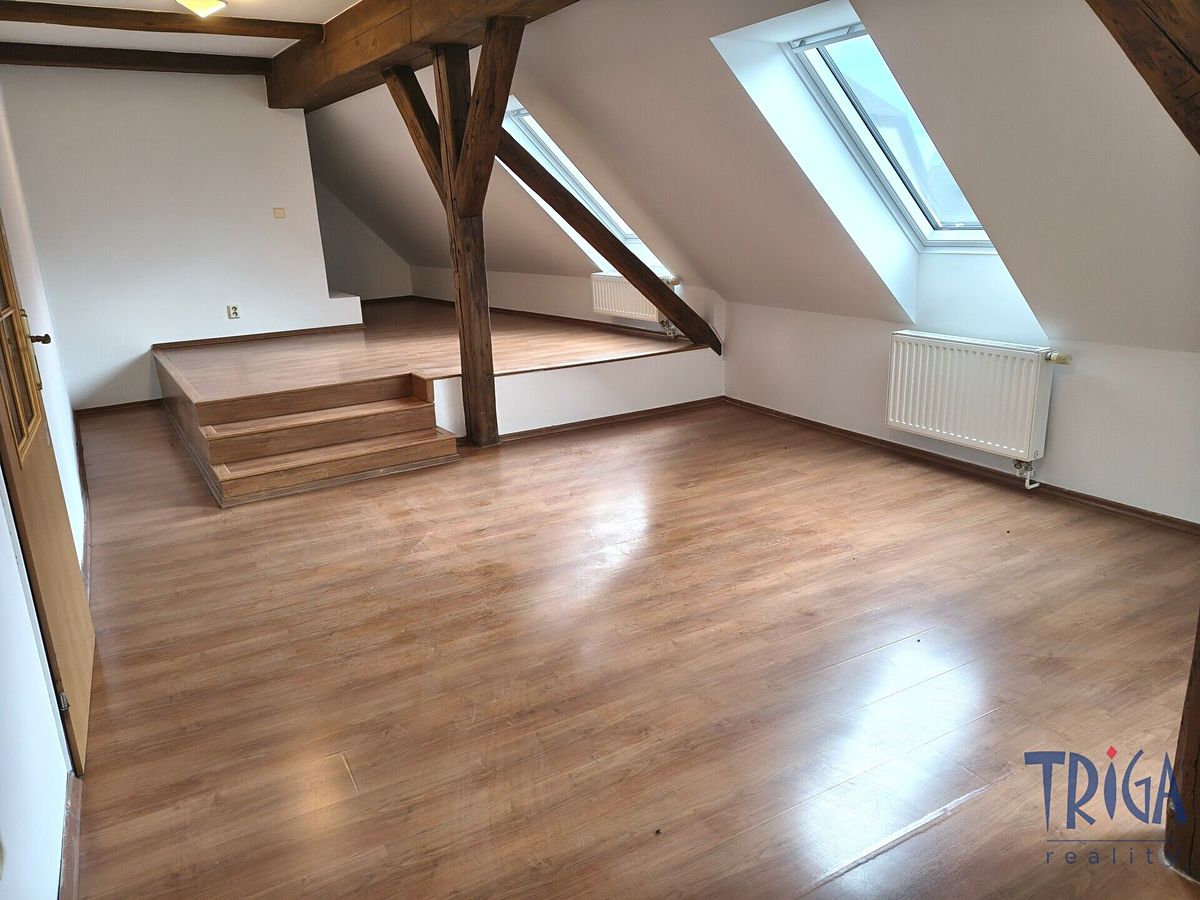 Pronájem bytu 3+1 157 m² – fotografie 4